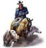 Brugers avatar